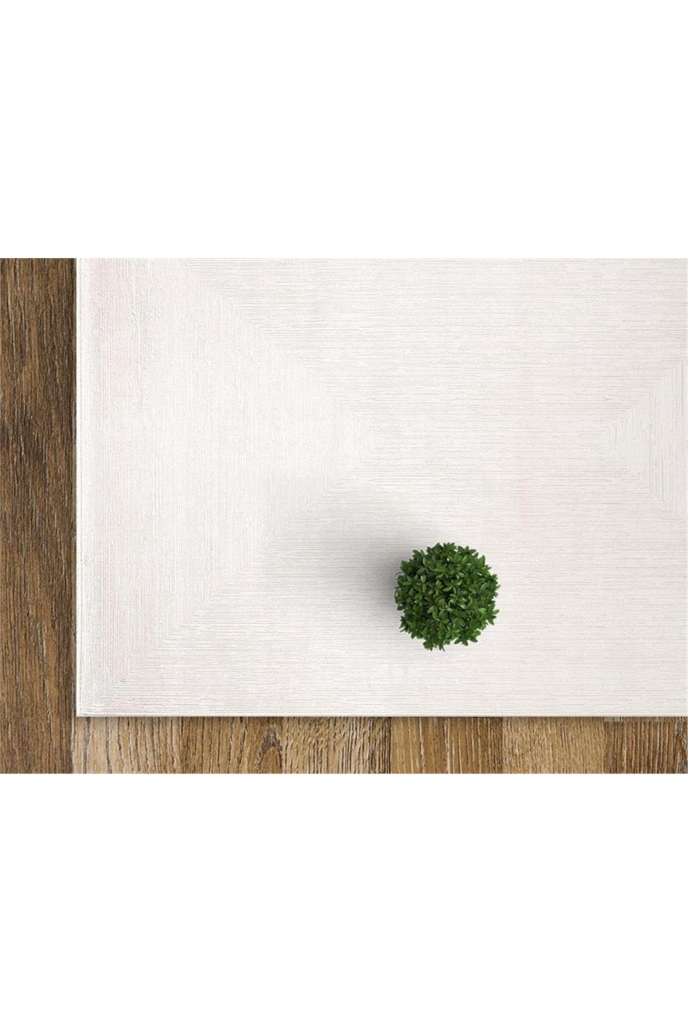 Momentus 9605 Krem Momentus 9605 Krem